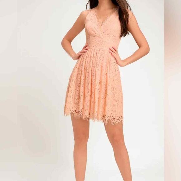 Lulu's NEW In This Moment Blush Pink Eyelash Lace Sleeveless Skater Mini Dress S - Picture 1 of 9